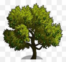NCurious ncurious Twitter - Picholine Olive Tree Farmville Emoji