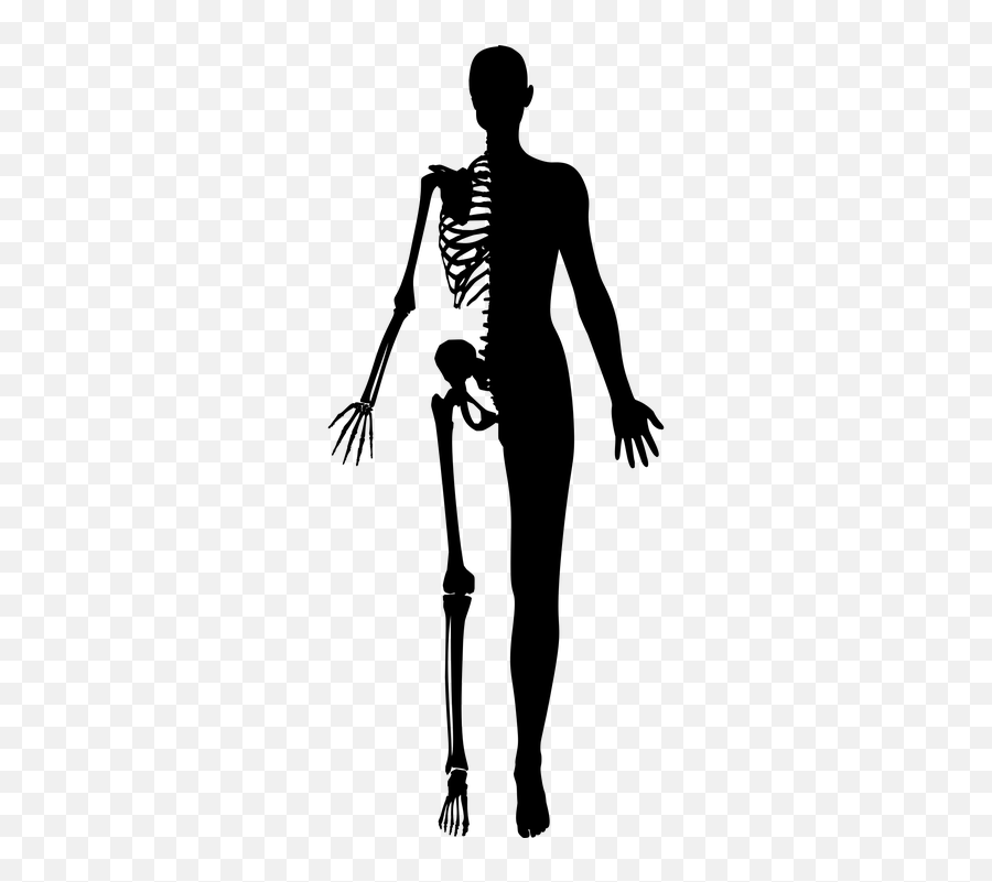 Human Skeleton Images Pictures In Hd - Half Skeleton Half Human Emoji,Dying Rose Emoji