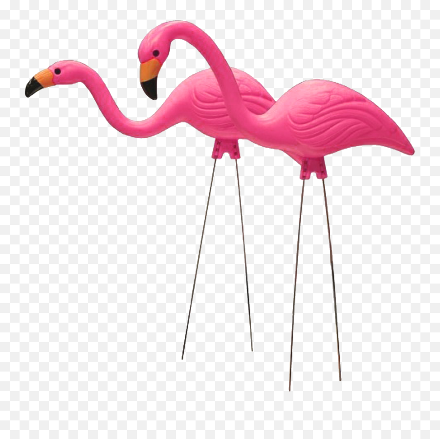Flamingo Transparent Png Clipart Cute - Plastic Flamingo Png Emoji,Pink Flamingo Emoji