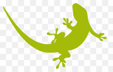 Amphibian Drawing Gecko Transparent - Lizard Logo Png Emoji,Gecko Emoji