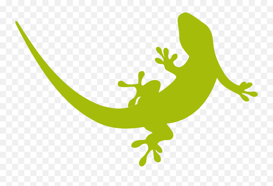 Amphibian Drawing Gecko Transparent - Lizard Logo Png Emoji,Gecko Emoji