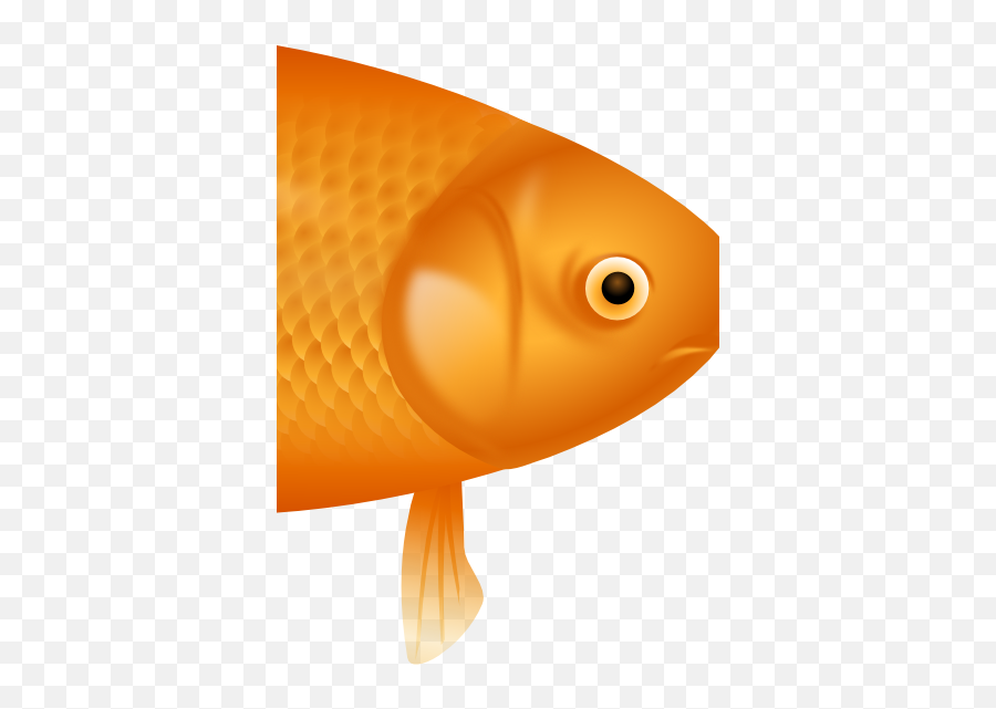 Download Example Image Of A Fish - Goldfish Emoji,Goldfish Emoji