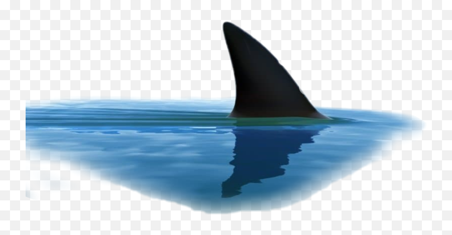 To - Shark Getting Out Of Water Emoji,Shark Fin Emoji