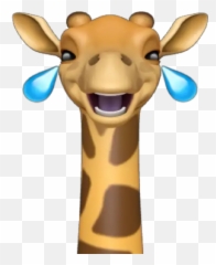 Memoji Giraffe Stickers For Whatsapp - Giraffe,Giraffe Emoji.com