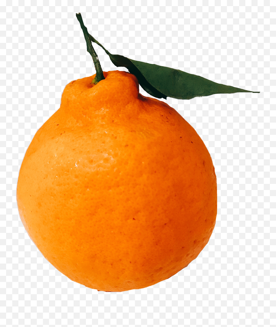 Mandarin Orange Squash Fruit Fruits Emoji,Mandarin Emoji