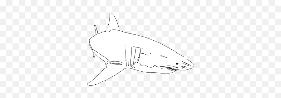 Top Gwendolyn Fin Premier Saut Stickers - Great White Shark Transparent Gif Emoji,Shark Emoji Android