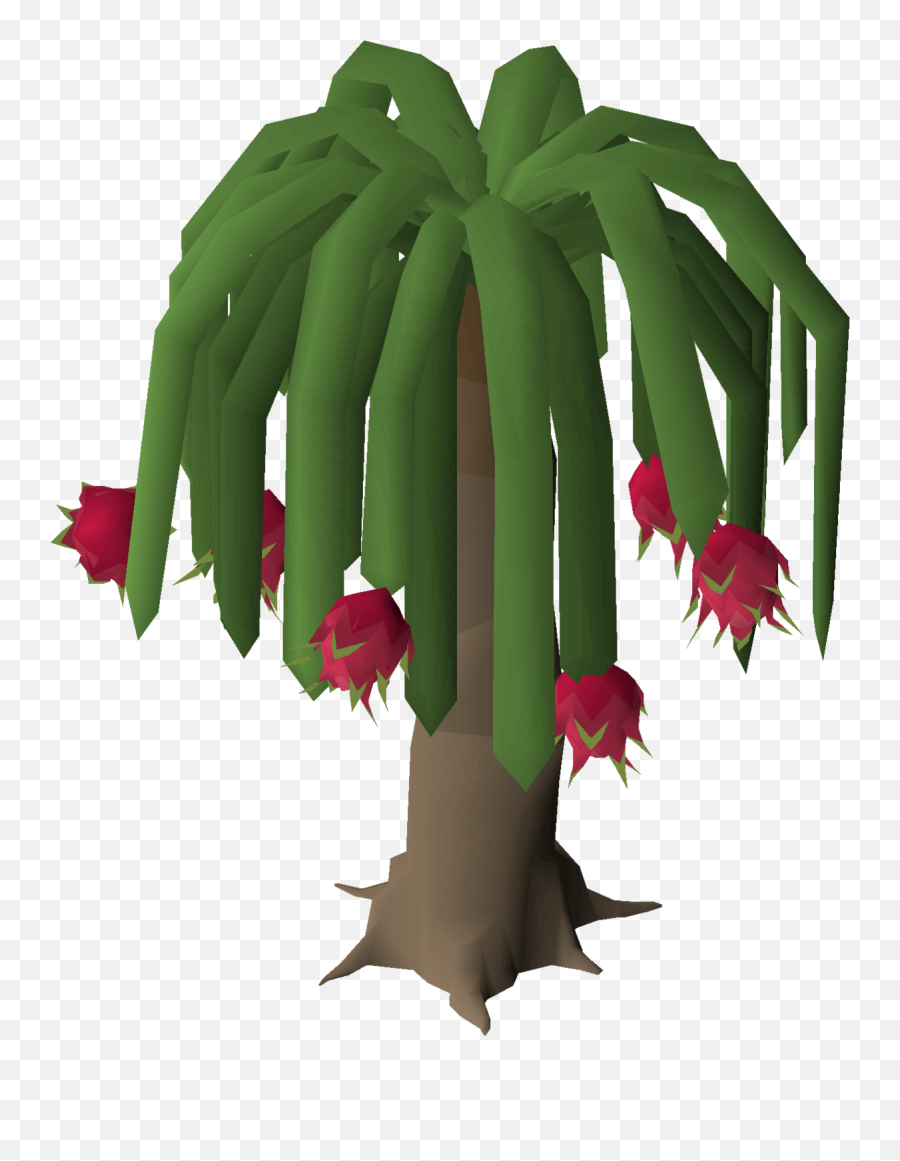 Palm Tree Full Size Png Download Seekpng - Runescape Dragon Fruit Tree Emoji,Palm Tree Emoji