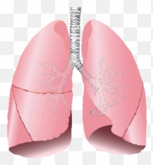 Lungs - Examples Emoji