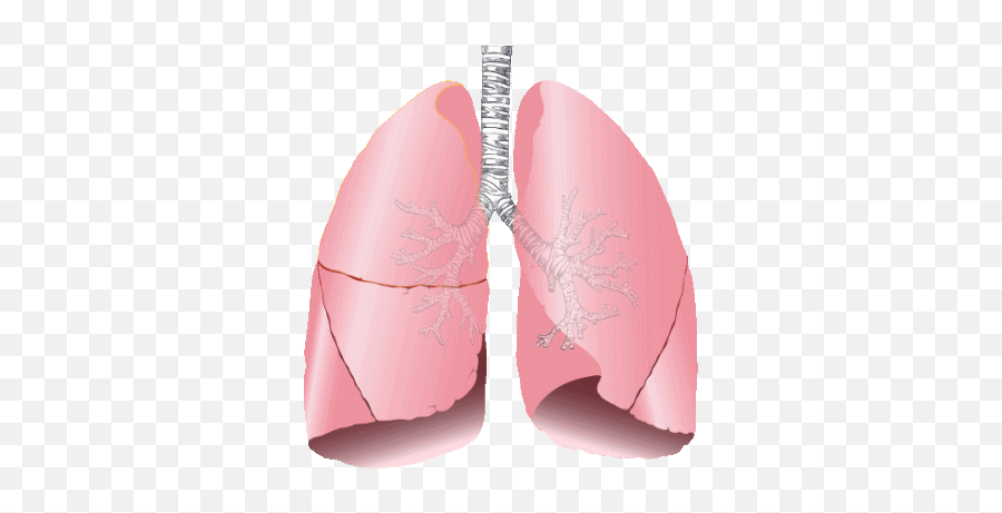Lungs - Lungs Examples Emoji,Dagger Emoji