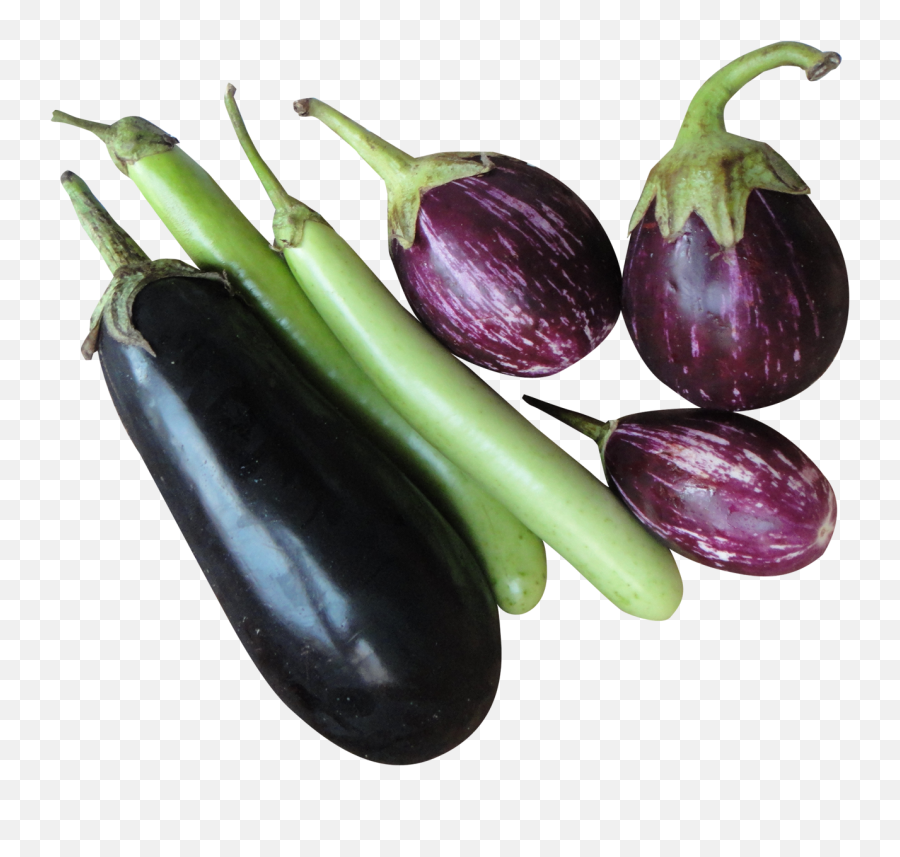 Hd Eggplant Png Transparent Background - Brinjal Png Emoji,Eggplant Emoji Transparent Background