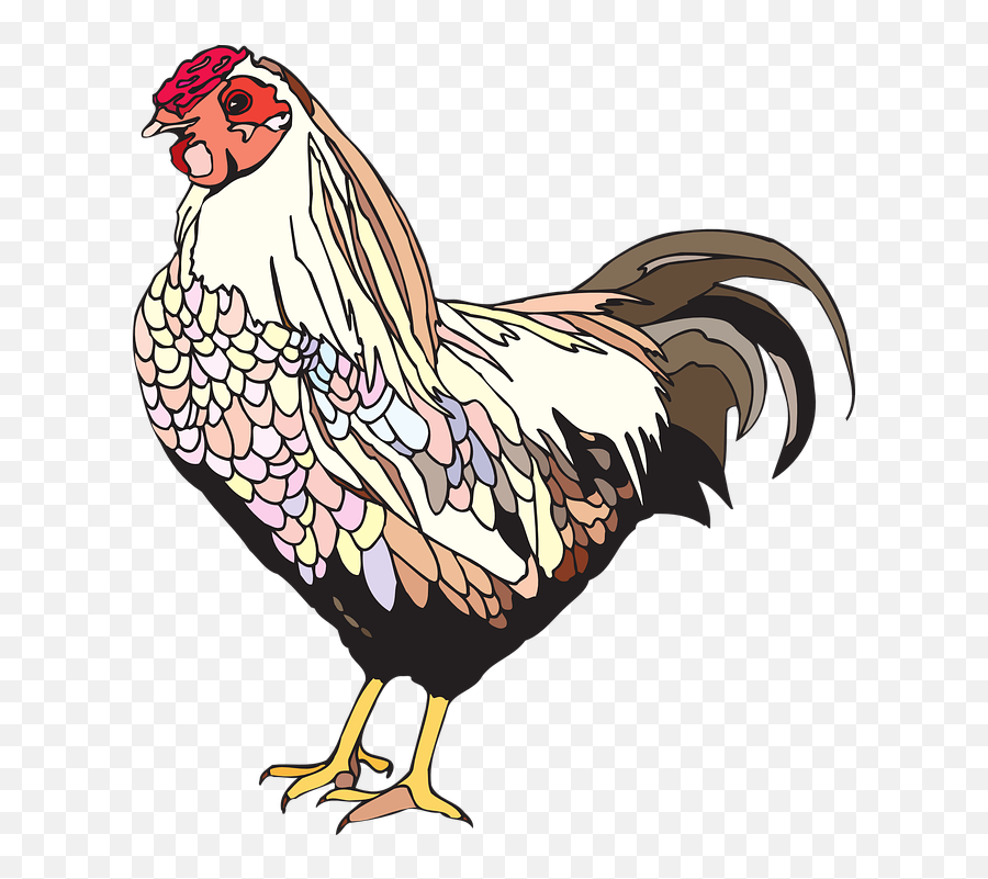 Bird Chicken Hen - Female Hen Emoji,Chicken Wings Emoji