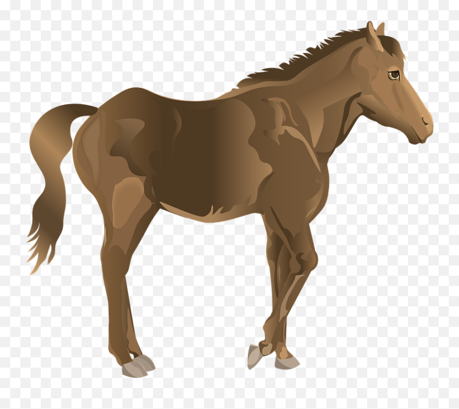 Stallion Horse Bay - Sorrel Emoji,Night Horse Emoji