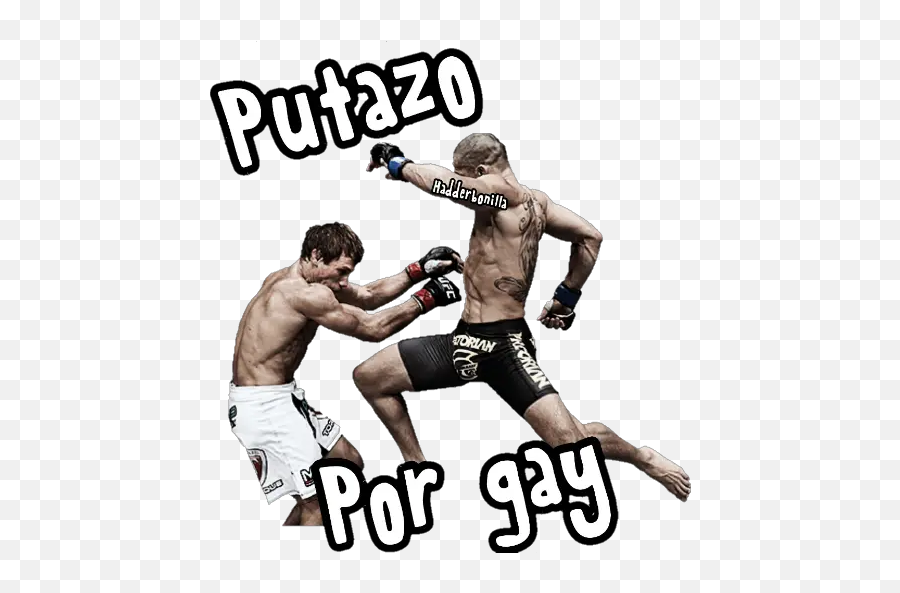 Un Putazo Por Stickers For Whatsapp - Shootfighting Emoji,Boxer Emoji