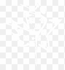 Northern Stars Dance Competition - Dancing Logo With Stars Emoji,Star Emotion