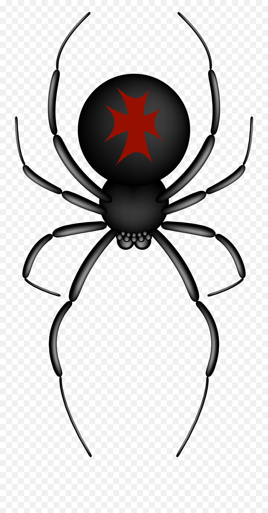 Insects U0026 Spiders Spider Web Clip Art - Spider Png Download Cartoon Transparent Background Cartoon Clip Art Spider Emoji,Spider Emoji