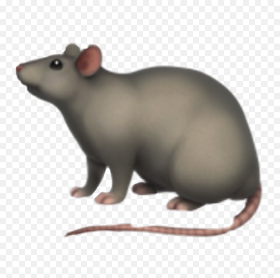 Selfportrait Rat Sticker - Rat Emoji,Rat Emoji