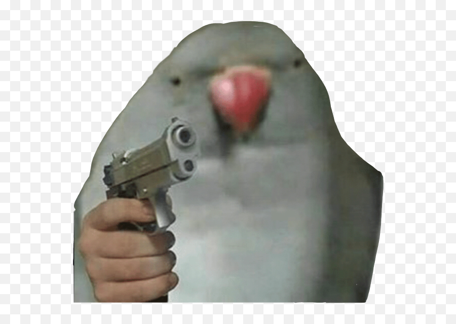 Parrot Meme Sticker - Parrot With Knife Meme Emoji,Parrot Emoji