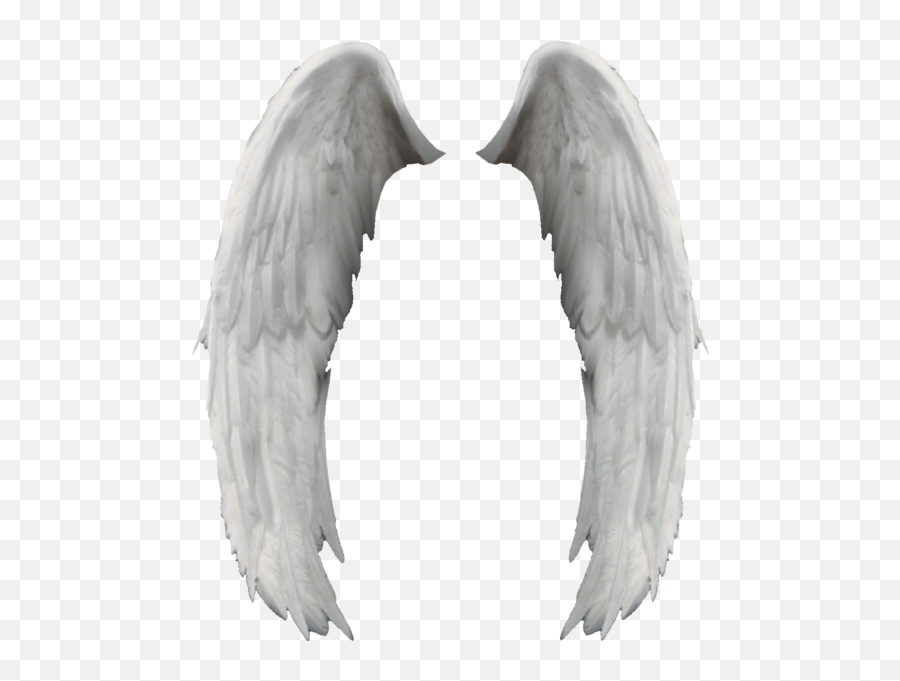 Angel Wings Ali Dangelo Psd Official Psds - Angel Wings Emoji,Angel Wing Emoji