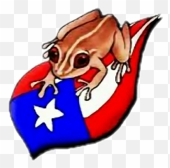 Coqui Puerto Rico Flag Clipart - Drawing Emoji