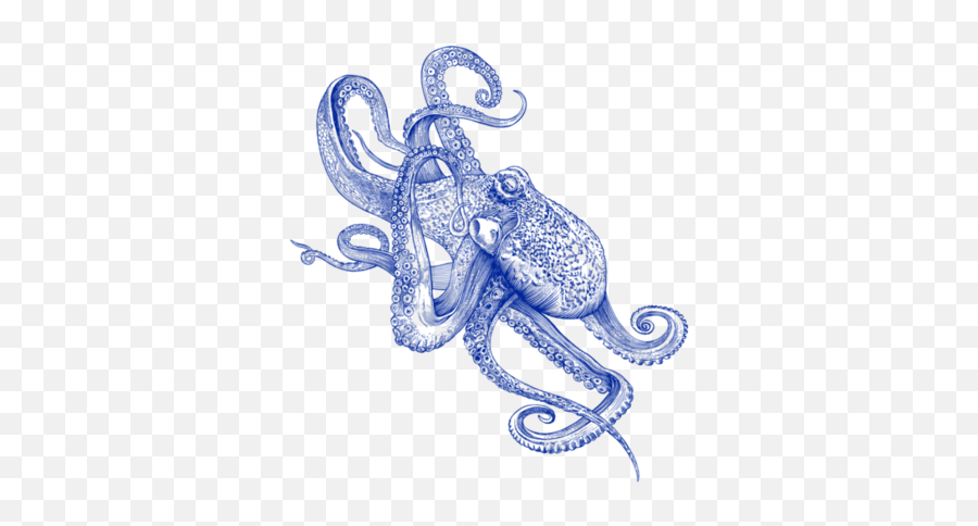 Frogs Drawing Mushroom Transparent - Dark Blue Tattoos Octopus Emoji,Octopus Pen Emoji