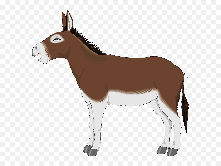 Donkey Png Images Free Download - Cartoon Donkey Clipart Emoji,Jackass Emoji