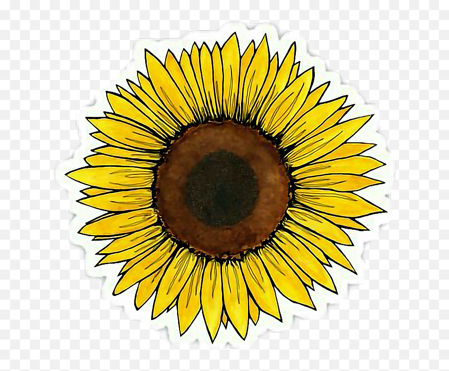Tumblr Clipart Yellow Picture 278417 Tumblr Clipart Yellow - Sunflower Sticker Emoji,Yellow Flower Emoji