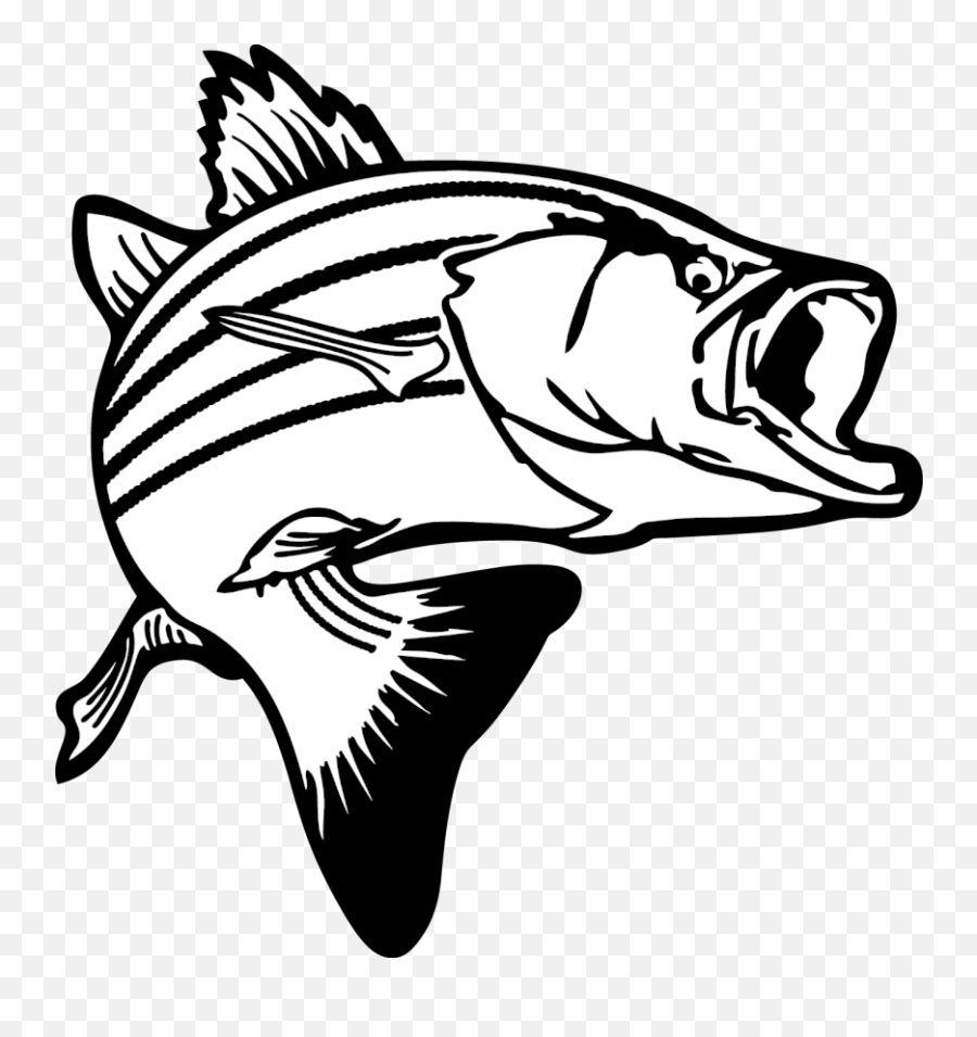 Fish Bass Clipart - Clipartix Bass Fish Clipart Black And White Emoji,Bass Emoji