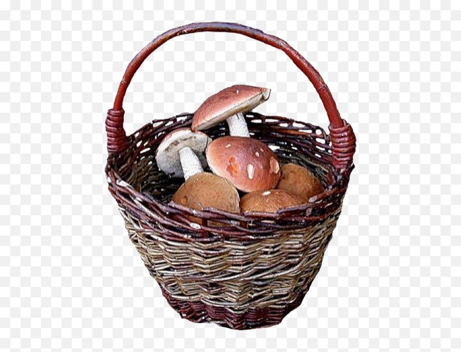 Witch Mushroom Basket Mushroombasket - Mushroom Aesthetic Png Emoji,Basket Emoji