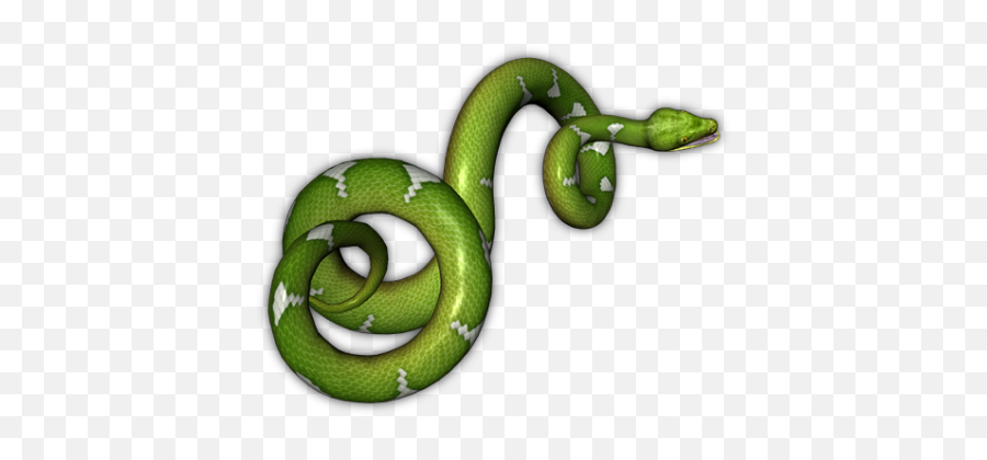 Download - Green Snake No Background Emoji,Snake Emoji Png