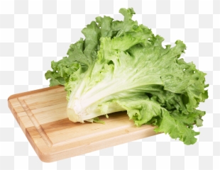 Green Salad Lettuce Clip Art Image - Selada Png Emoji,Lettuce Emoji