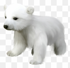 Polar Bear Clip Art Pictures Of Polar Bears 3 - Clipart Polar Bear Png Emoji,Polar Bear Emoji
