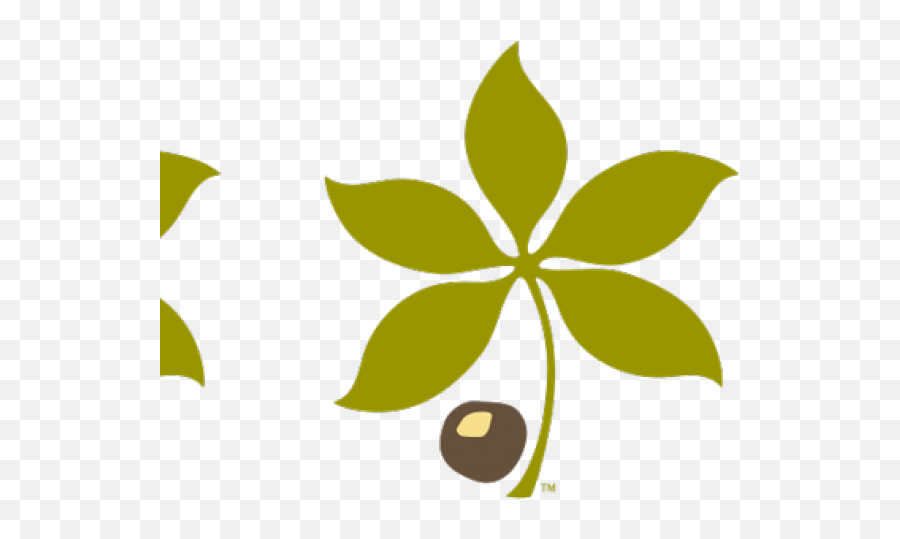 Buckeye Leaf Cliparts - Buckeye Clipart Transparent Buckeye Leaf Clip Art Emoji,Buckeye Emoji