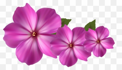 Free Transparent Flower Gif Tumblr - Pretty Flower Flower Clipart Emoji,Lily Flower Emoji