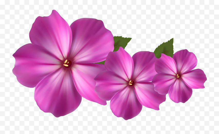 Free Transparent Flower Gif Tumblr - Pretty Flower Flower Clipart Emoji,Lily Flower Emoji