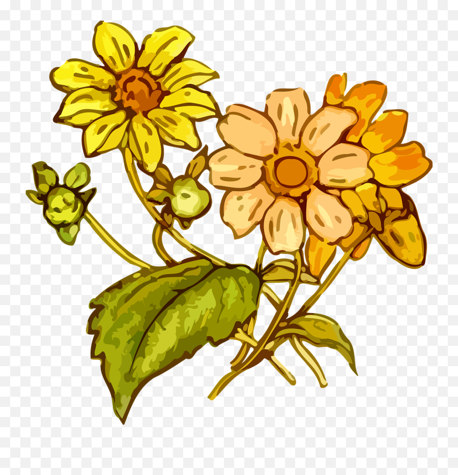 Dying Flower Drawing Free Download On Clipartmag - Edelweiss Flower Png Clipart Emoji,Yellow Flower Emoji
