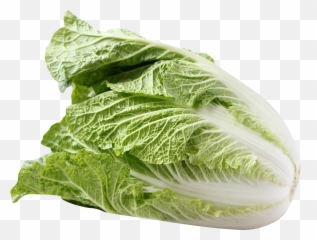 Free Download Emoji Icons In PNG IOS 9 50931 - Images Napa Cabbage Png