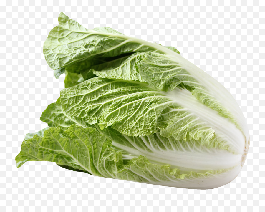 Free Download Emoji Icons In Png Ios 9 50931 - Png Images Napa Cabbage Png,Cabbage Emoji