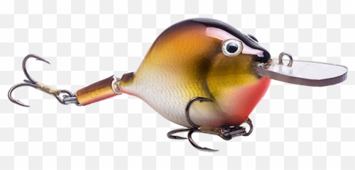 Fishing U2013 Wild Water Adventure Park - Topwater Fishing Lure Emoji,Fishing Emoji