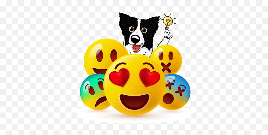 About Our Border Collie Team And Story - World Emoji Day Images With Quote,Beach Emoji