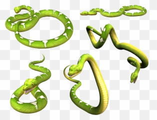 Png Image Picture Download Icon Favicon - Green Mamba Emoji,Snake Emoji Png