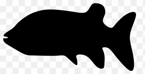 Beast Pet Animal Animals Fish - Fish Emoji,Dragon Emoji