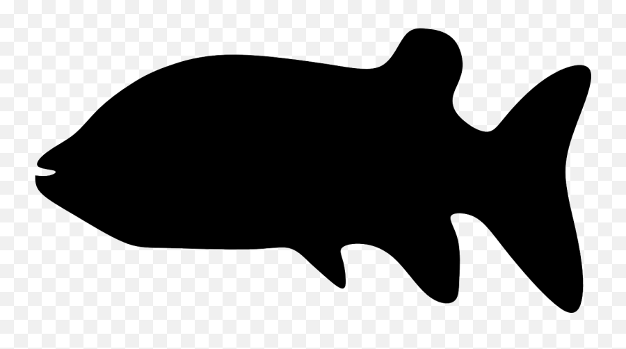 Beast Pet Animal Animals Fish - Fish Emoji,Dragon Emoji