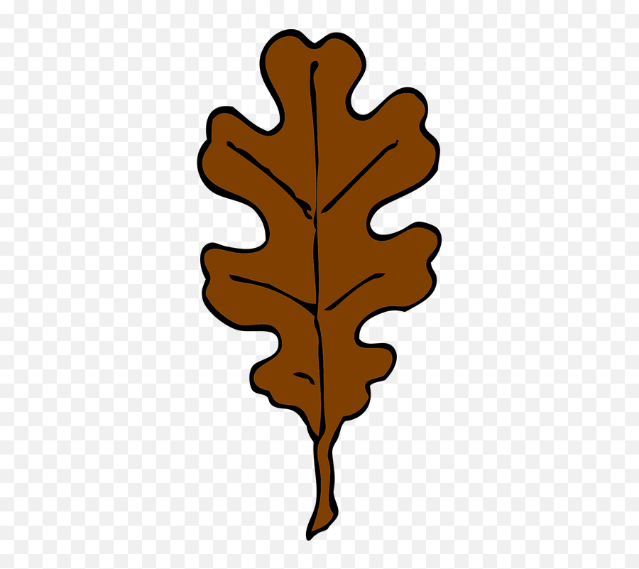 Free Oak Tree Vectors - Oak Tree Leaves Clipart Emoji,Camel Emoticon