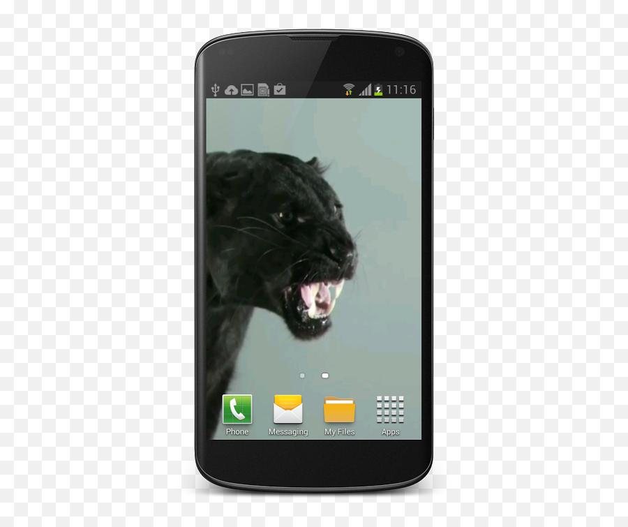 Puma Cat Video Wallpaper - Appcoins Bonus Download Android Iphone Emoji,Cat Emoji Keyboard