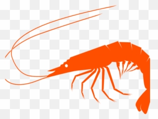 Shrimp Clipart Small Shrimp - Shrimp Clipart Png Transparent Emoji,Shrimp Emoji
