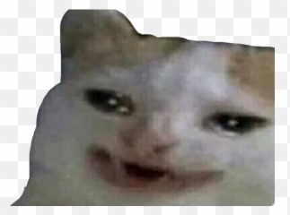 Sad Cats - Cancer De Ojo Meme Emoji
