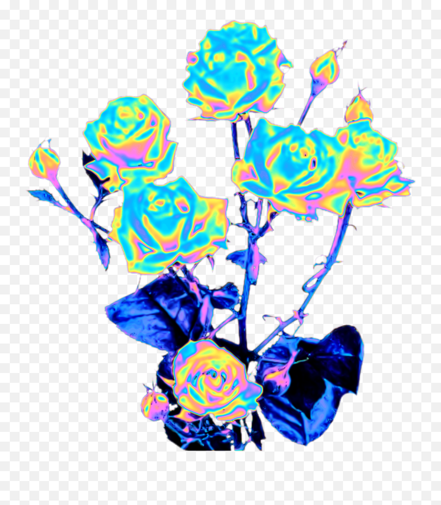Rose Rosebush Flowers Roses Thorn Holo - Flowers Holo Emoji,Thorn Emoji