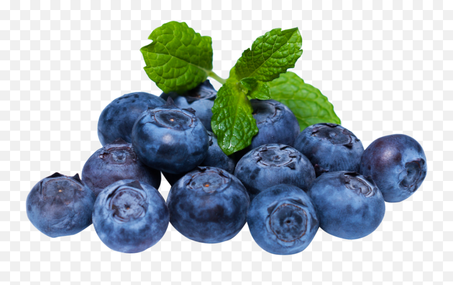 10 Png Blue Berry Pics To Free Download On Animal Maker - Blueberries Png Emoji,Raspberries Emoji