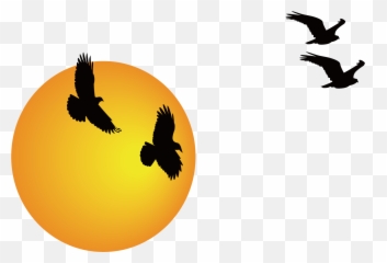Sunrise Cartoon Transparent Png - Transparent Background Sunrise Png Clipart Transparent Emoji,Sunset Bird Emoji