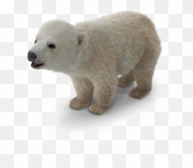 Polar Png And Vectors For Free Download - Polar Bear Cub Png Emoji,Polar Bear Emoji